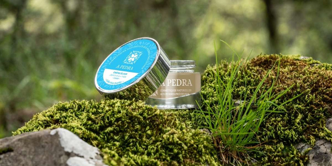 Bienvenue dans le Journal d'Apedra