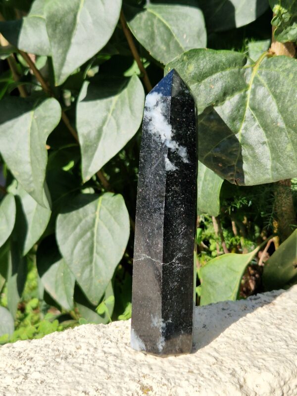 Pointe en Tourmaline Noire