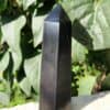 Pointe en Tourmaline Noire